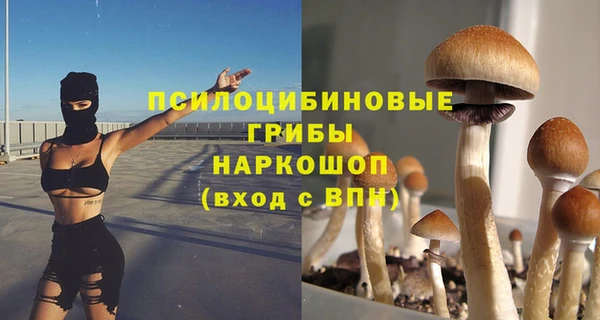 мяу мяу мука Алексин