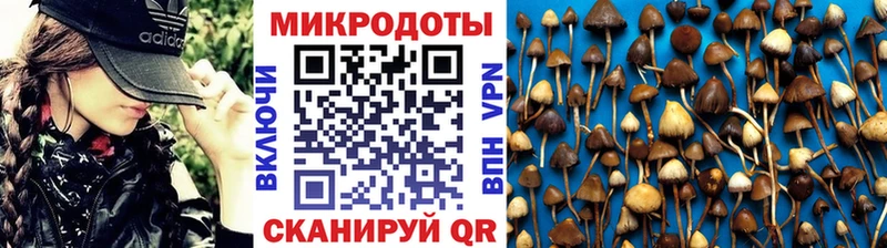 Псилоцибиновые грибы Magic Shrooms  Грязи 