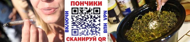 Шишки марихуана индика  mega вход  Грязи  дарнет шоп 